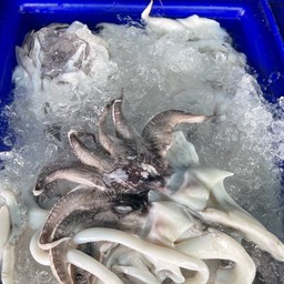 หนวดหมึกย่าง ครึ่งกิโล