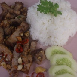 ข้าวหมูกรอบขั้วพริกเกลือ