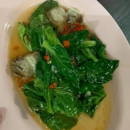 แขนงไฟแดง