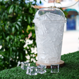 Plain Ice Size L (Jar Glass)