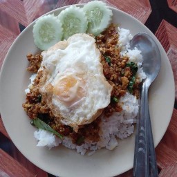ต้นโพธิ์(ป้านาง)