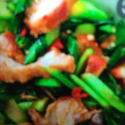 ข้าว+คะน้าหมูชิ้น