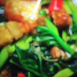คะน้าหมูกรอบ (กับข้าว)