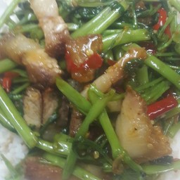 ป้าทิพย์ตามสั่ง