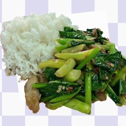 ข้าวราดผัดคะน้าน้ำมันหอย