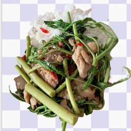 ข้าวราดกระเฉดน้ำมันหอย