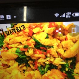ข้าว+กระเพราไข่เจียว(ใช้ไข่2ฟอง)มังสาวิรัติ