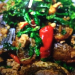 ข้าวกระเพราหมูสับ ไข่เยี้ยวม้า