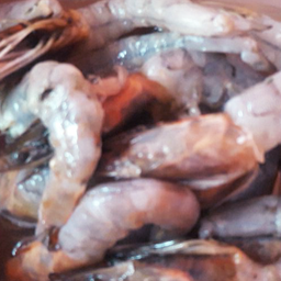 กุ้ง2-3ตัว