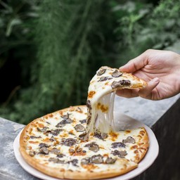 TRUFFLE PIZZA