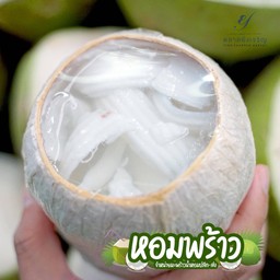 วุ้นในลูกมะพร้าว