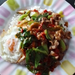 กัล&ดรีม ข้าวแกงปักษ์ใต้