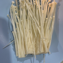 เห็ดเข็มทอง