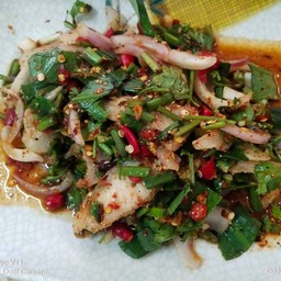 น้ำตกคอหมูย่าง