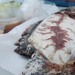 จ.อ๊อด ปลาเผา สาขา2