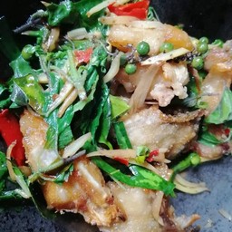 ผัดฉ่า ปลากระพง