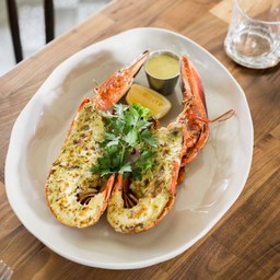 GRILLED LOBSTER