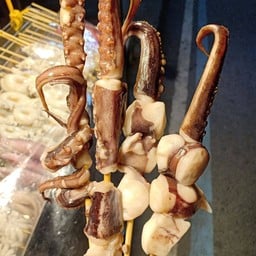 ราชาปลาหมึก ท้ายบ้าน🐙🐙🐙