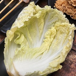 ผักกาดขาว