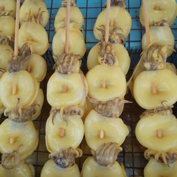 หมึกกะดอง