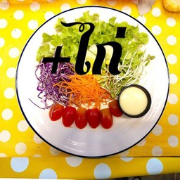 สลัดผักไก่