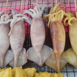 หมึกกล้วย