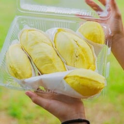 ทุเรียนหมอนทอง