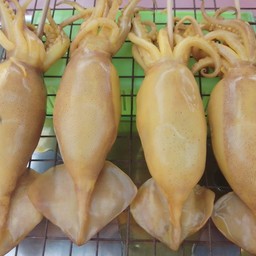 หมืกไข่