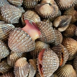 MENU_1507753PK_1653323796