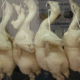 ข้าวมันไก่ตอนสูตรไหหลำแท้ หนองค้างพลู ม.ธนบุรี