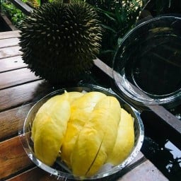 ผลไม้ลุงปราชญ์ 1