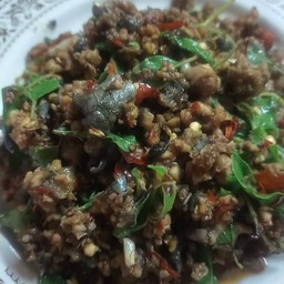 กะเพรากบ