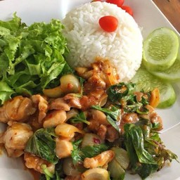 ข้าวราดผัดโหระพาไก่ชิ้น