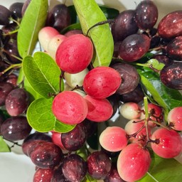 ครัวตนอรัญ