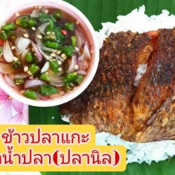เจ้หนิง ตำ-ยำแซบเว่อร์(อาหารอีสาน-ตามสั่ง) สาขา 1