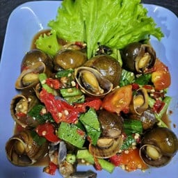 เหลาหอยโข่งนา