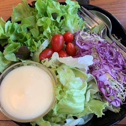 สลัดผักไฮโดร