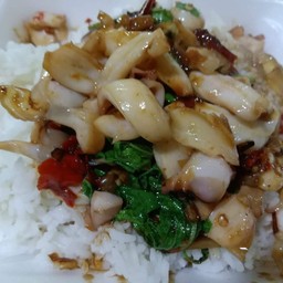 กระเพราปลาหมึก(กับข้าว)