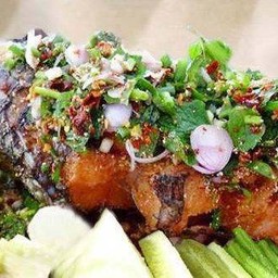 ปลาช่อนน้ำตก