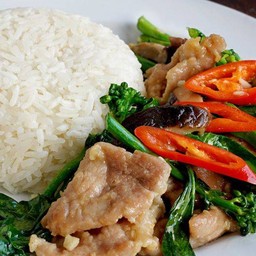 ข้าวราดคะน้าหมูชิ้น