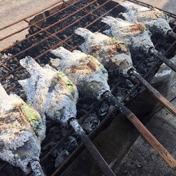 ปลาเผา (โอ๊ด ท่าพระ)