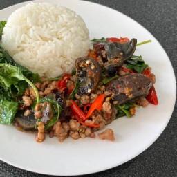 ตามสั่งคุณหญิง