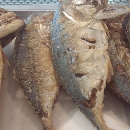 ป.ทู กลาง