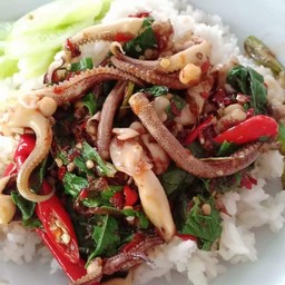 ข้าวกระเพราทะเลพริกแห้ง