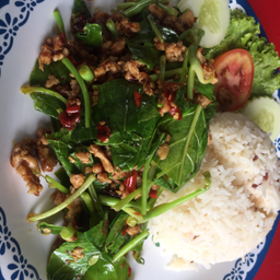 ข้าวราดคะน้าหมูสับ