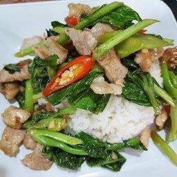 ข้าวคะน้าหมูชิ้น