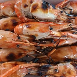 ก.กุ้งเป็น สาขาถนนมิตรภาพคลองส่งน้ำ