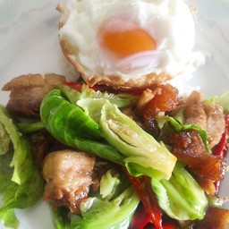 ป้าปลายปิ่นโต50ปี ลำลูกกา