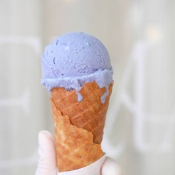 Cone 2 Scoops