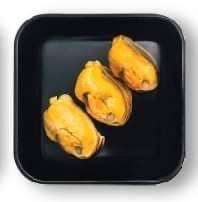 หอยแมลงภู่